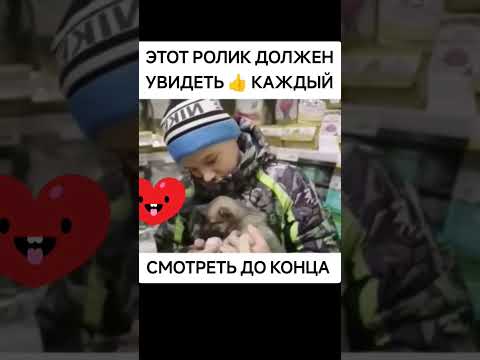 Кто тоже заплакал в конце видео?