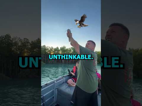 Feeding an Eagle Mid-Air?!😲(@trekn )