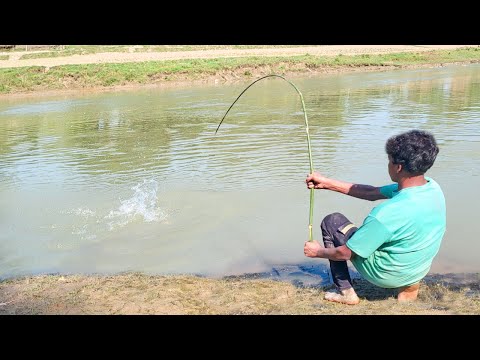 Unique Hook Fishing Technique | Hunting Big Fish By Hook in River | River Fishing