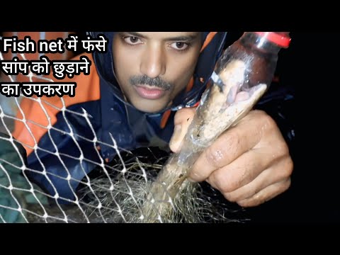 Fish net मैं फंसे cobra को निकलने का अनोखा उपकरण जो स्नेक bite से बचाता है.cobra trapped in fish net