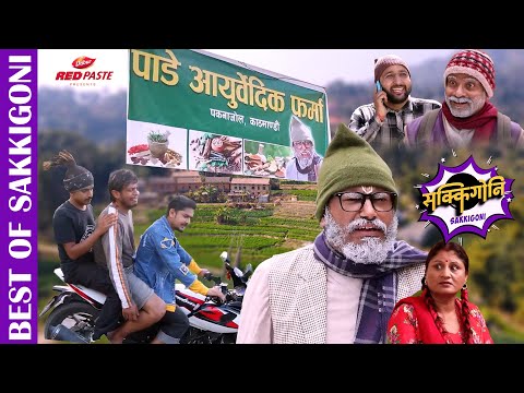 बाख्राको बड्कौलालाई औषधी भन्दै ठग्यो पाँडेले। SAKKIGONI || Ft.Arjun, Hari, Govinda, Kamalmani,Subodh