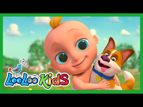 Bingo Song 🎶 Johny and Bingo Time 🐶 LooLoo Kids Nursery Rhymes Compilation for Babies