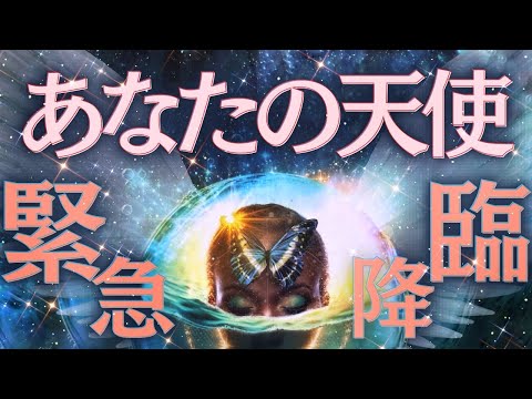 完全版【全選択肢異常事態😳⁉︎】今あなたのそばにいる天使は〇〇🪽重要なメッセージとその未来🔮✨