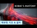 해부학적 자세와 절단면 퀴즈