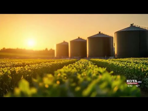 YouTube video thumbnail: South Dakota Soybean Association President Expresses Cautious Optimism