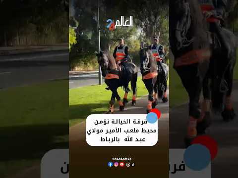 فرقة الخيالة تؤمن محيط ملعب الأمير مولاي عبد الله خلال المباراة المرتقبة بين المغرب والنيجر بالرباط