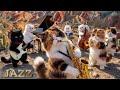 4K Happy Jazz Music for Work & Study The Woolen Jazz Band Live #relaxingmusic[1]