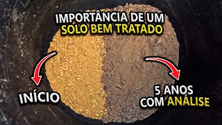 DEIXANDO O SOLO MAIS FÉRTIL EM ALGUNS ANOS