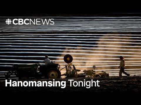 YouTube video thumbnail: B.C. Farmer Says ‘A Lot of Us Are Getting Second Jobs’ Due to Near Bankruptcy