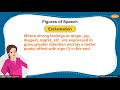 Figures of Speech and Their Functions