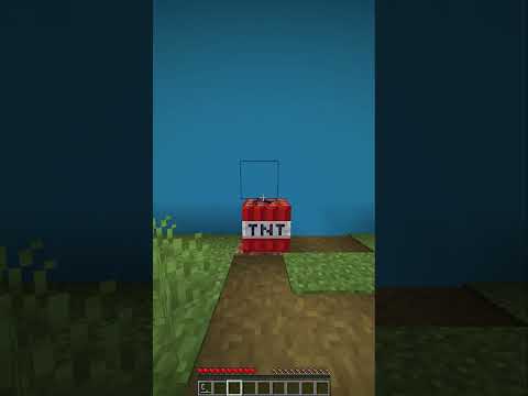 Minecraft Truman Show 5
