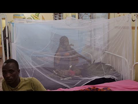 YouTube video thumbnail: Gates Foundation Denies Claims it’s Behind Mosquito Surge in Kenya