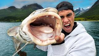 Jagd auf den Fjord-Killer! 2 Tage Tiefsee Angeln auf den stärksten Fisch Europas  🇳🇴😵