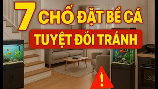 7 vị trí bạn nên tránh đặt bể cá.
