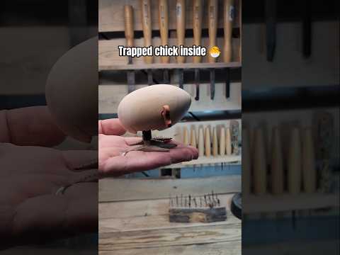 Jumping Wooden Egg Toy | A Chick Stuck Inside 🐣🥚