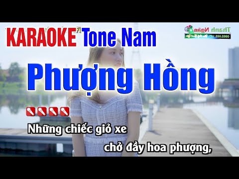 PHƯỢNG HỒNG Karaoke Tone Nam – Nhạc Sống Thanh Ngân