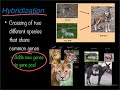 Natural Selection and Genetic Variation