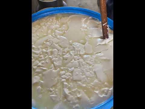 Increíble revelan receta secreta para hacer queso bajo en sal