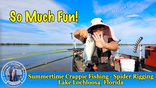 Summertime Crappie Fishing with Spider Rigging on Lake Lochloosa, Florida