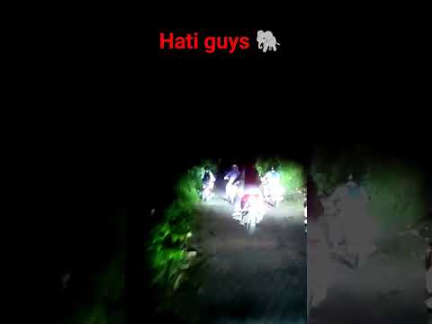 ghrot goithakute rastat hati guys ๐ #elephant