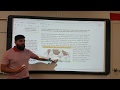 Ecosystem Roles and Relationships