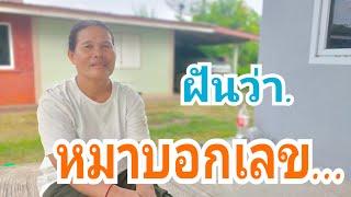 ฝันว่า สุนัขบอกเลข...