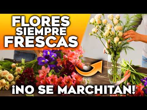 ¡FLORES FRESCAS por MÁS TIEMPO! 🌹 5 Tips Fáciles que No Sabías para FLORES y PLANTAS