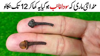 Karachi Famous Street Recipe - Original Karachi Style Recipe