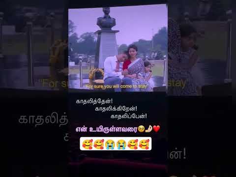 இதயம் நொறுங்கியது💔💔