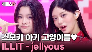 스모키해도 귀여운 시크 고양이들 🐱 ILLIT 아일릿 'jellyous' #뮤직뱅크 | KBS 250725 방송