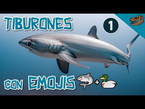 Tiburones con emojis 1 - (ft. ¿Qué es la EvoDevo?)