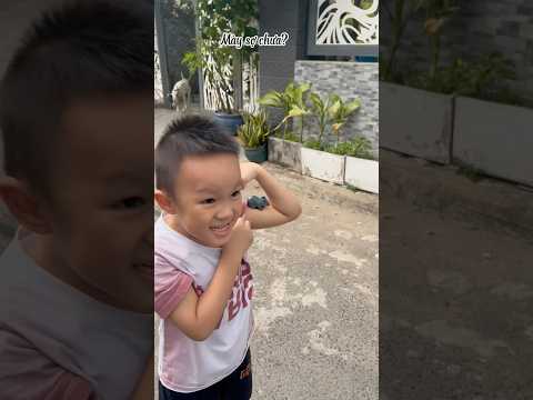 Mày sợ chưa#shorts #vuive