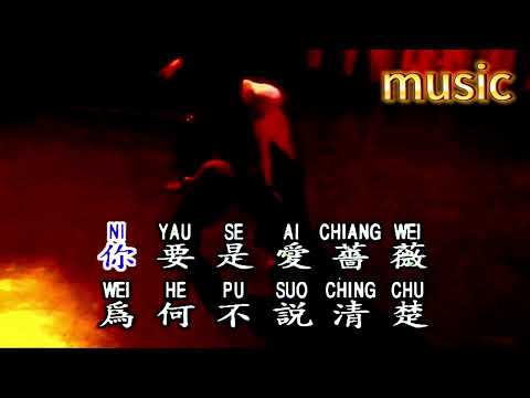 薔薇之戀 (RUMBA)KTV 伴奏 no vocal 無人聲 music 純音樂 karaoke 卡拉OK 伴唱薔薇之戀 (RUMBA)