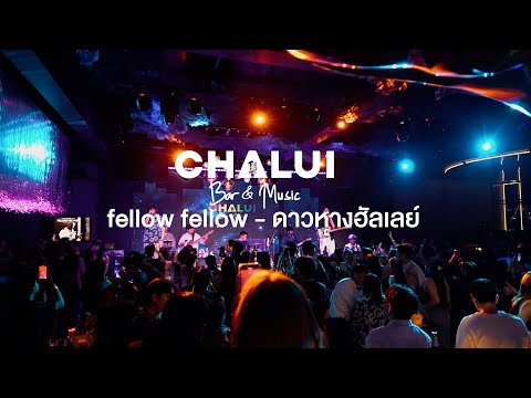 fellowfellowดาวหางฮัลเลย์LiveatChaluiBarMusic