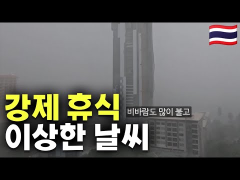 자연이 만든 미스트 [태국 3]