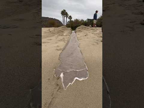 Small trench Connects River to Ocean! #shorts #asmr #oddlysatisfying #waves #weird #surfing