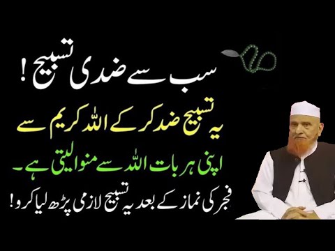Sab Say Ziddi Tasbeeh | Maulana Makki AL Hijazi |