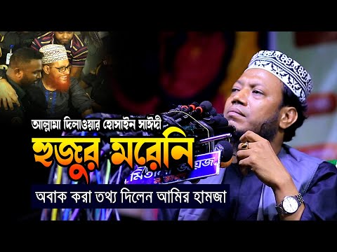 সাঈদী হুজুর মরেনী অবাক করা তথ্য দিলেন mufti amir hamza ২০২৪ মুফতি আমির হামজা new tafsir mahfil 2024