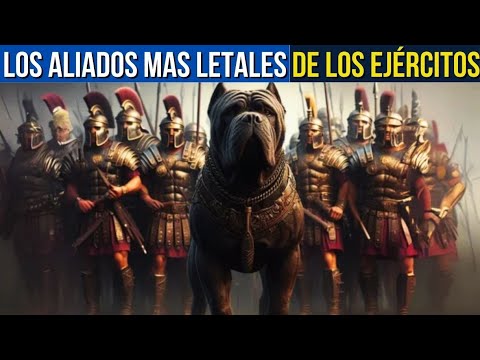 LOS ANIMALES QUE CAMBIARON EL CURSO DE LAS GUERRAS y LA HISTORIA PARA SIEMPRE