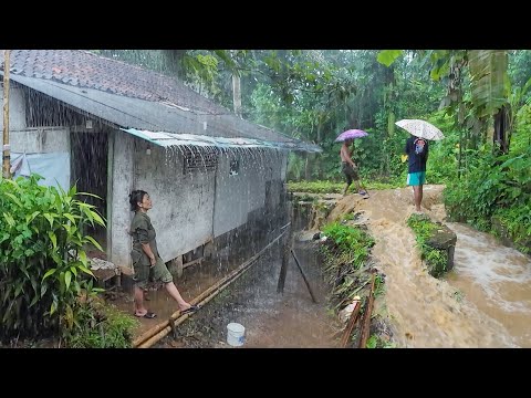 SUASANA SORE YANG TENANG, TURUN HUJAN DAN KABUT DI KAMPUNG NAMBAH BETAH, PEDESAAN SUNDA JAWA BARAT