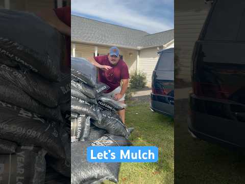 Let’s see how much we can get done before the kids wake up #Kids #Parents #Garden #Toddler #Clean