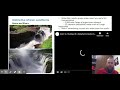 Exploring Africa's Landforms and Resources