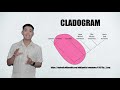 Phylogenetic Trees and Cytochrome c
