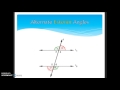 Exploring Parallel Lines and Angles