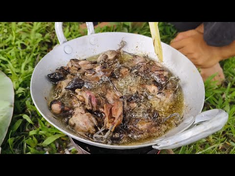 MUKBANG BURUNG PIPIT HASIL TANGKAPAN PAMAN ALI SI PETUALANG