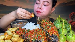 ikan patin goreng rica rica jengkol muda ,sambal terasi,rebusan genjer,terong lalab MUKBANG