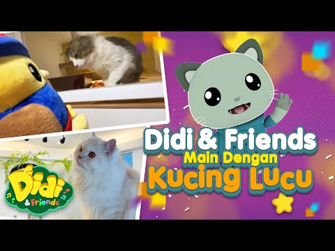 Didi & Friends Main Dengan Kucing Lucu | Didi & Friends Indonesia
