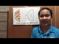 Understanding Circles and Related Concepts
