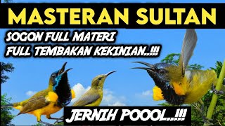 MASTERAN SOGON GACOR BONGKAR MATERI ROLL TEMBAK ‼️