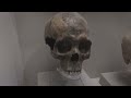 Human Skeletal System Knowledge